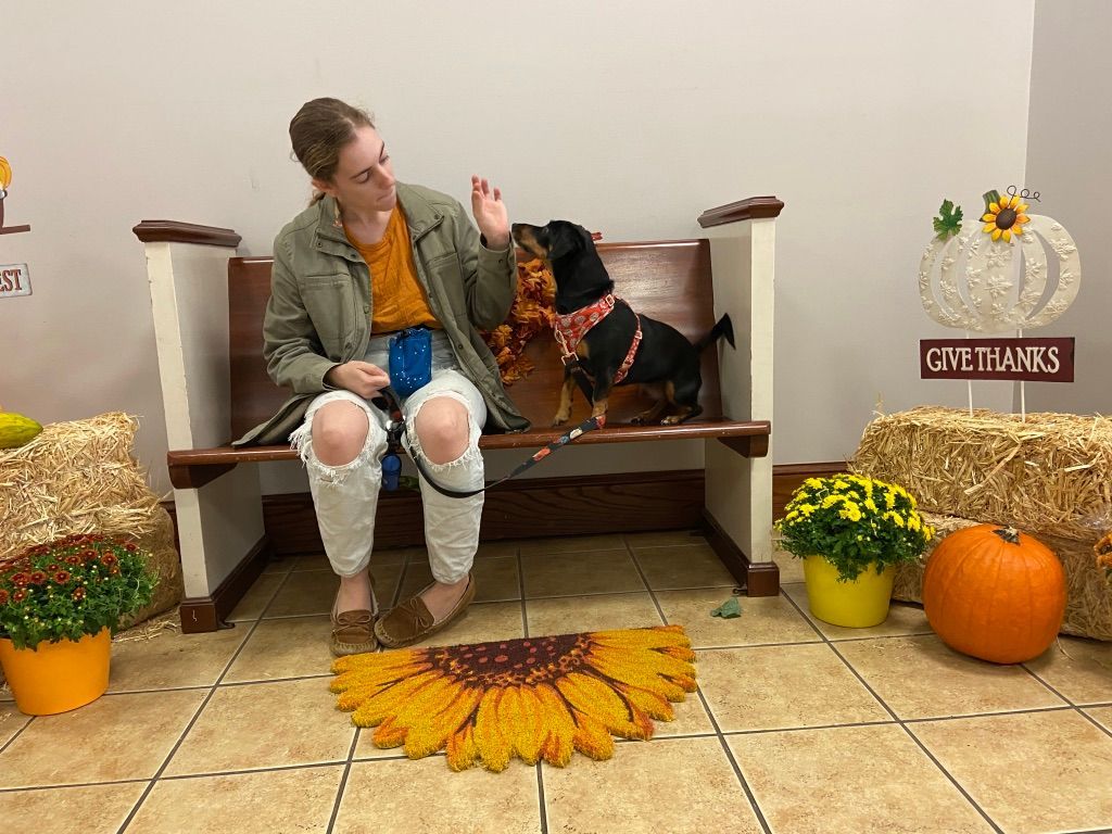 Pet Blessings