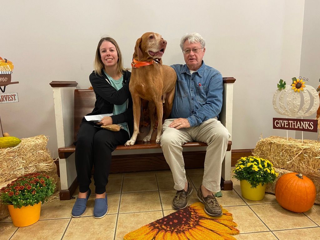 Pet Blessings