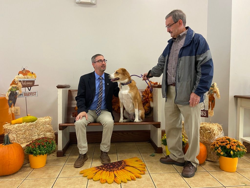 Pet Blessings