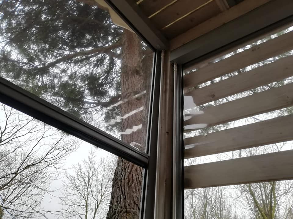 Un albero si riflette nella finestra di una casa