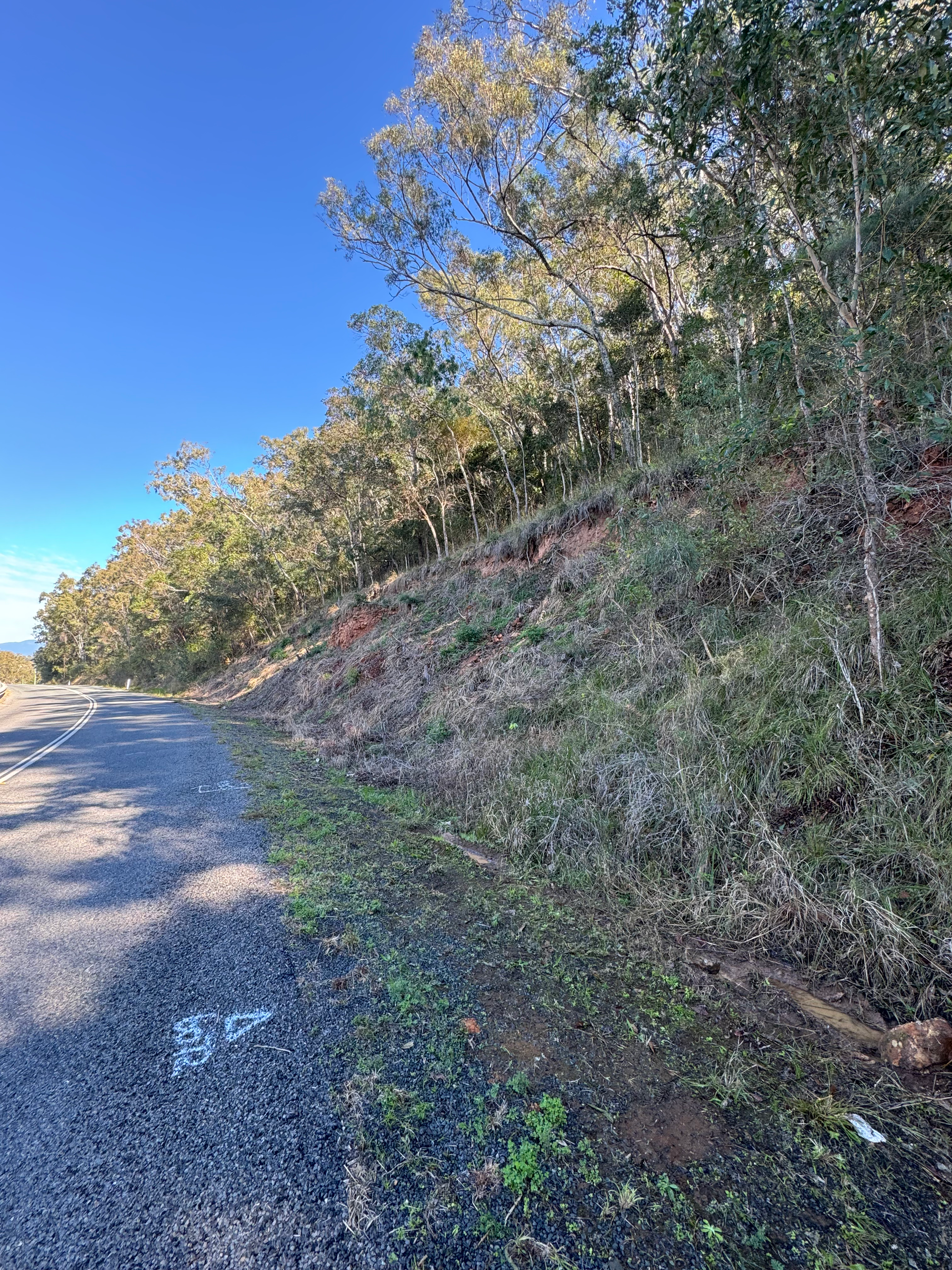 A before photo of a dirt 'slide' on a damaged hill next to a roadway.