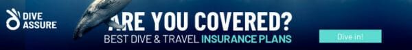 Ad for Gove Assure, asking 