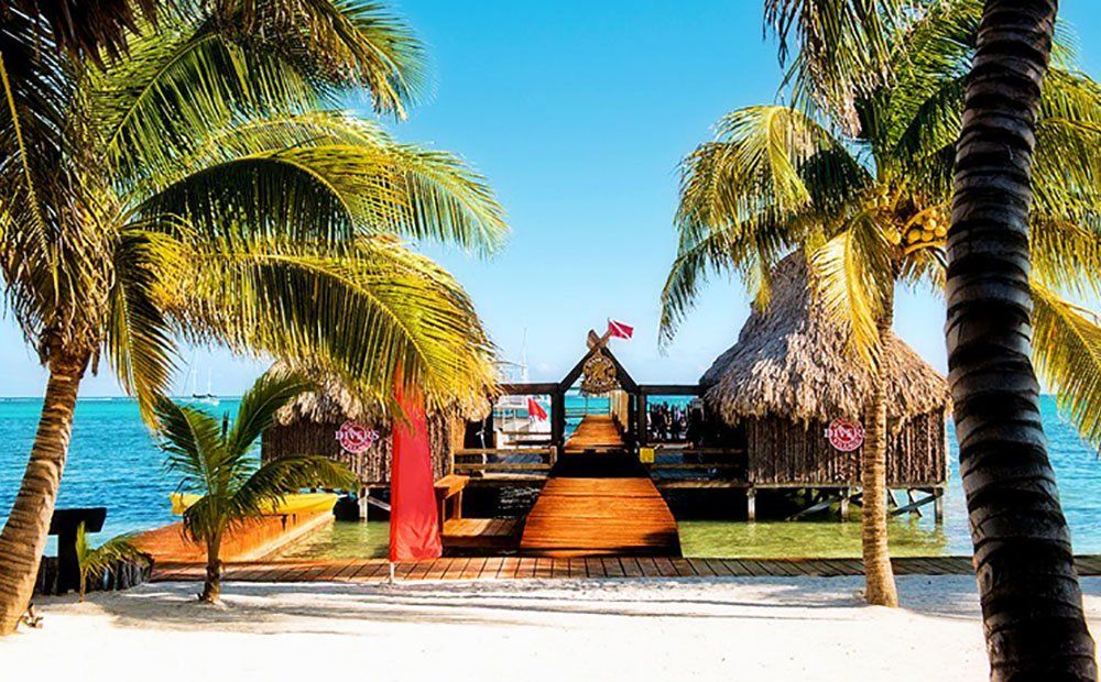 Beach huts on stilts, palm trees, blue ocean and sky.