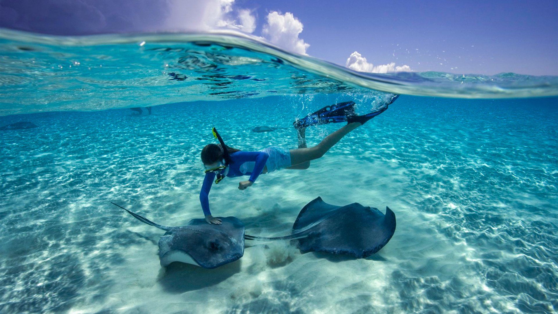 Snorkeler touching stingrays in clear, turquoise water. Sunny, shallow, sandy seabed.