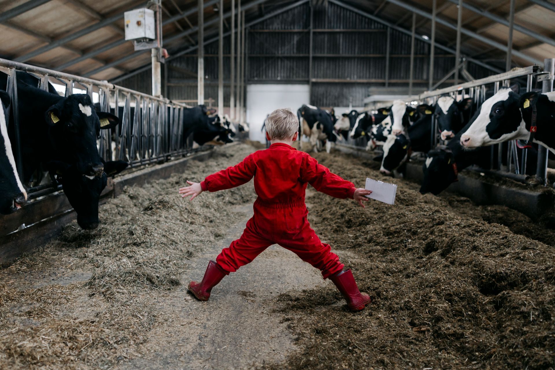 Kind speelt tussen koeien in stal tijdens day in the life reportage