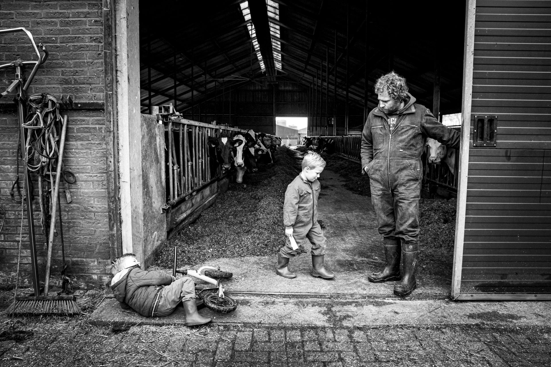 Vader en kinderen bij koeienstal op boerderij tijdens dagelijks moment