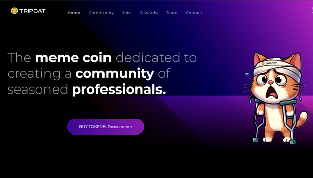 Meme Coin Consulting, Design, Marketing and Launch