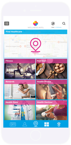 AI Chatbot Healthcare Wellness