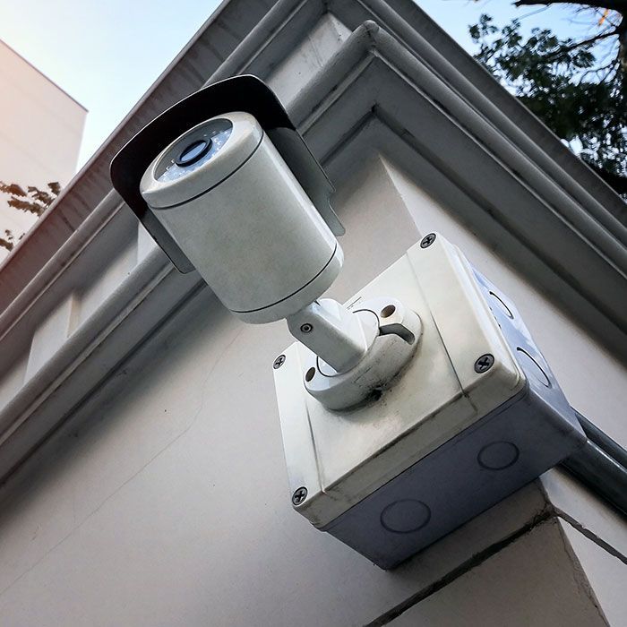 SEGURIDAD SES