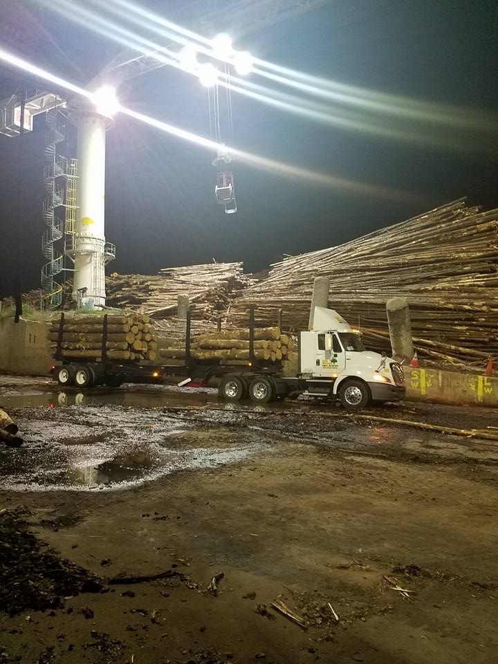 A truck is carrying logs in a yard at night.