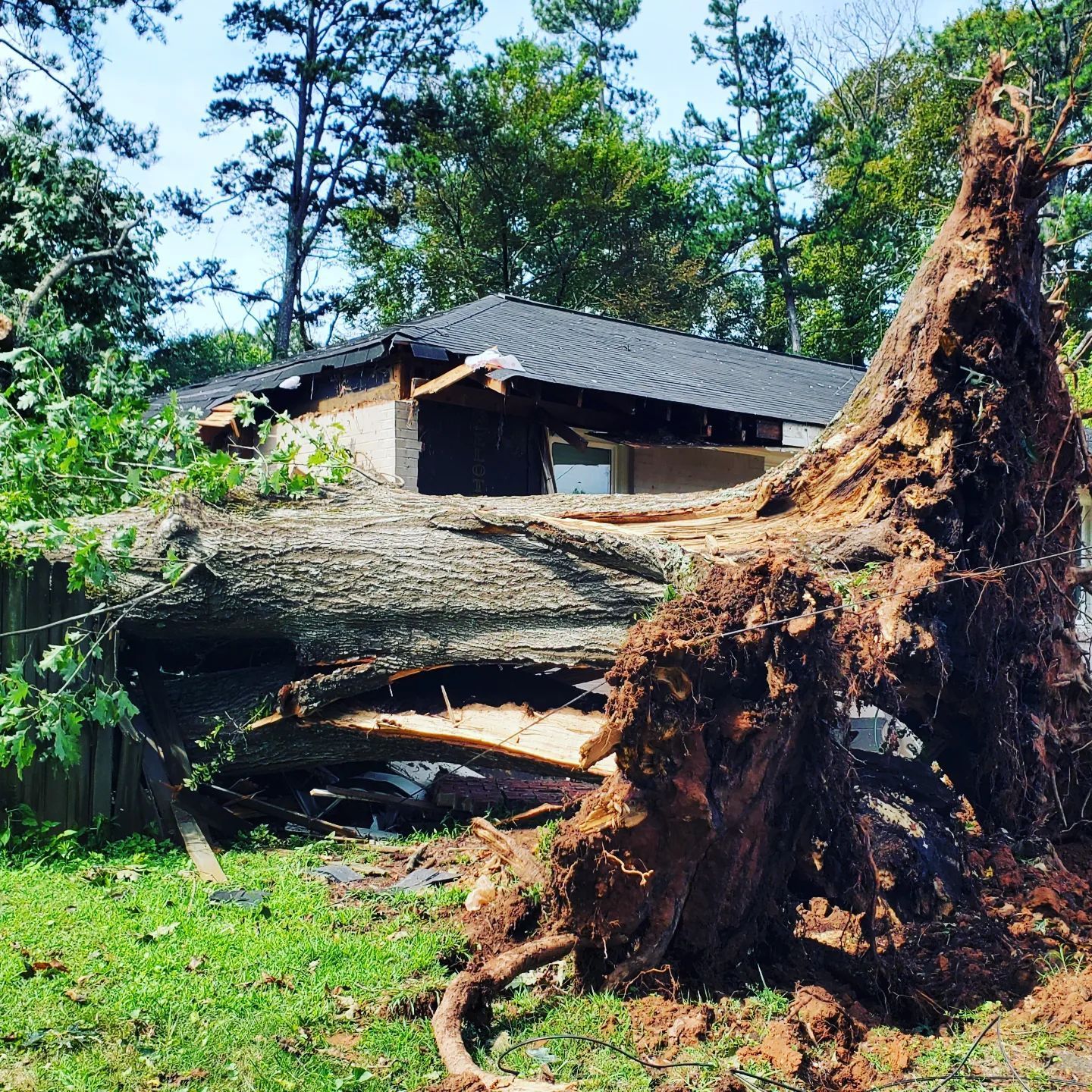 A large tree stump in front of a house that has been damaged by a storm