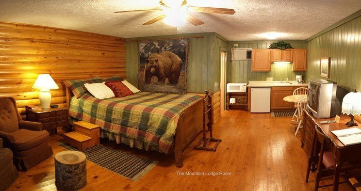 Cozy lodge room with wood paneling, a bed, small kitchen, and a painting of a bear.