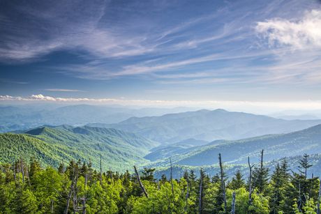 Mountain vista with lush green trees, blue hazy mountains, and a bright blue sky.
