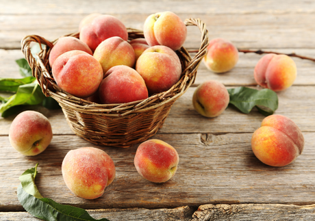 Basket of ripe peaches on a weathered wooden table; some peaches scattered around, with green leaves.