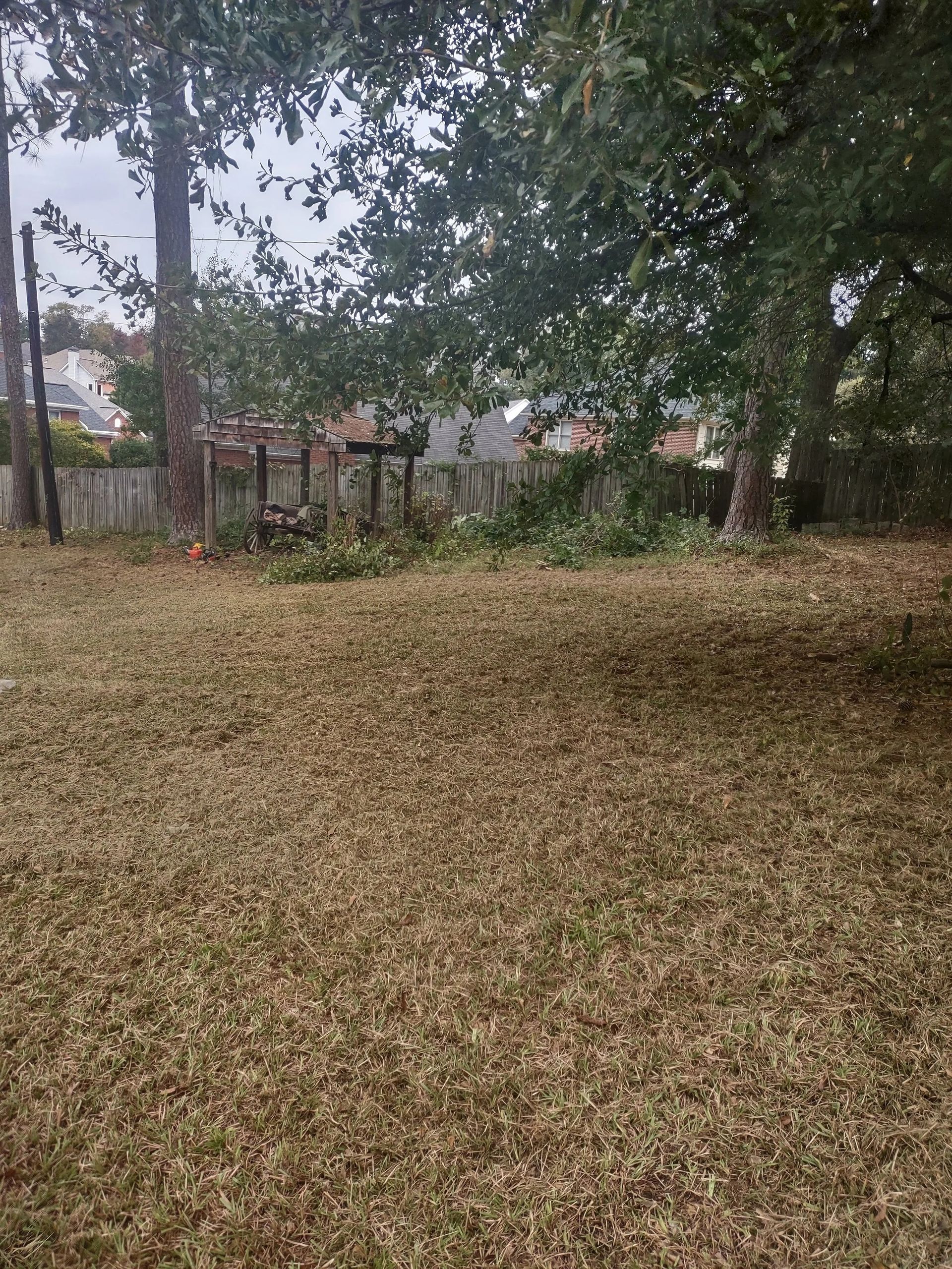 Backyard with brown grass, trees, and debris in a wooded area. Fence and houses in the distance.