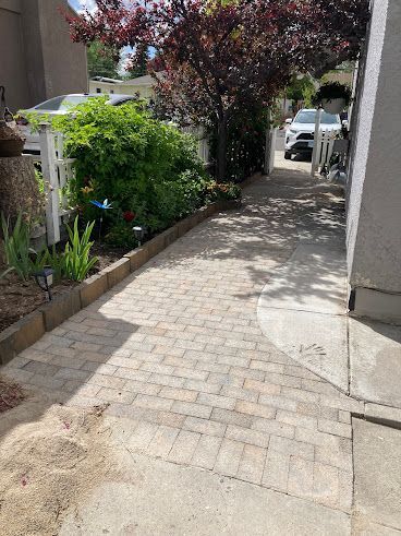 Narrow paved walkway beside a house, lined with shrubs and trees, leading to a driveway and parked car.