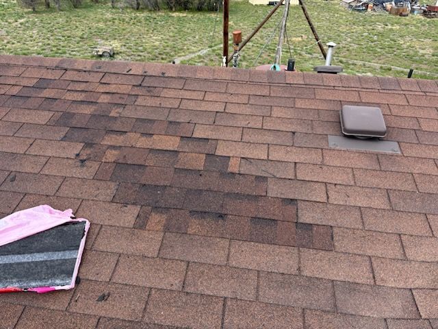 Brown shingled roof with a skylight and a pink cloth near the lower left edge