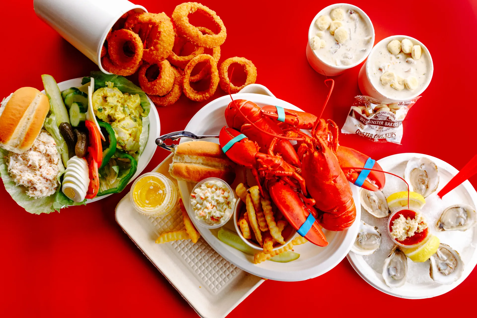 Assorted seafood dishes on white plates over a bright red background