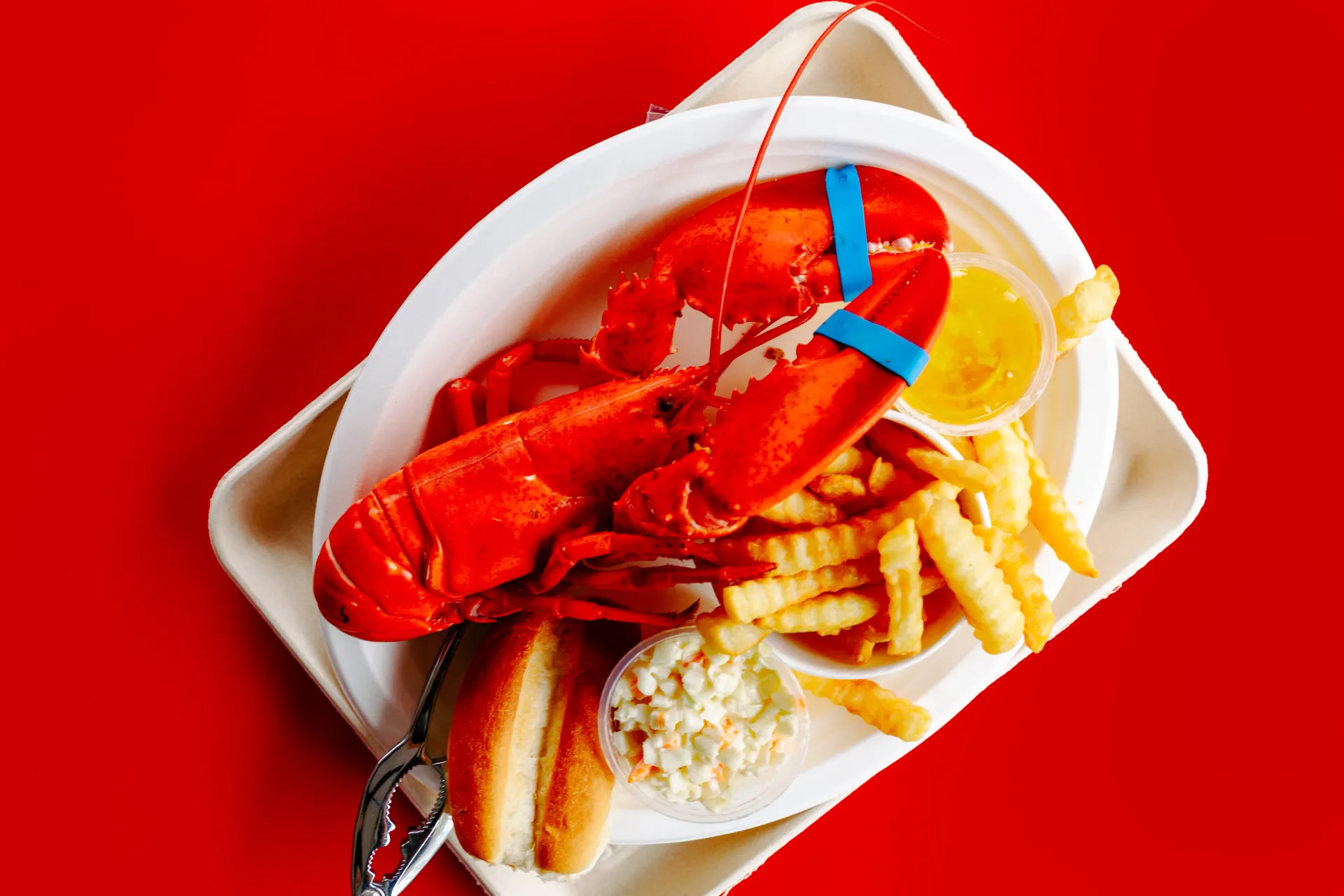 Beautiful red lobster with french fries and cole slaw on a platter at Ken's Seafood Restaurant.