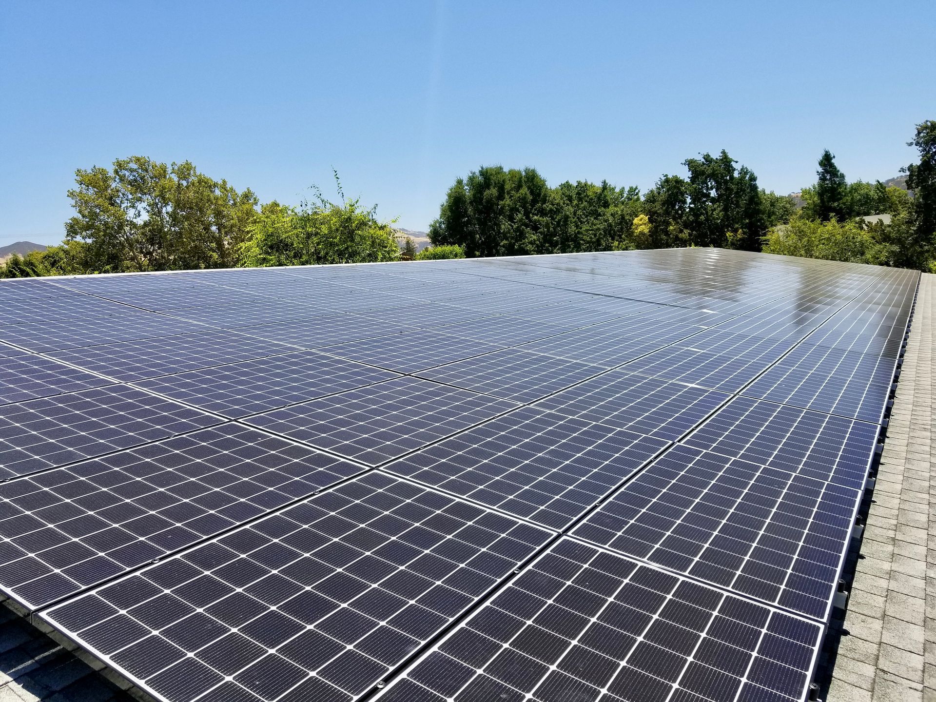 A large field of solar panels on a roof with trees in the background.