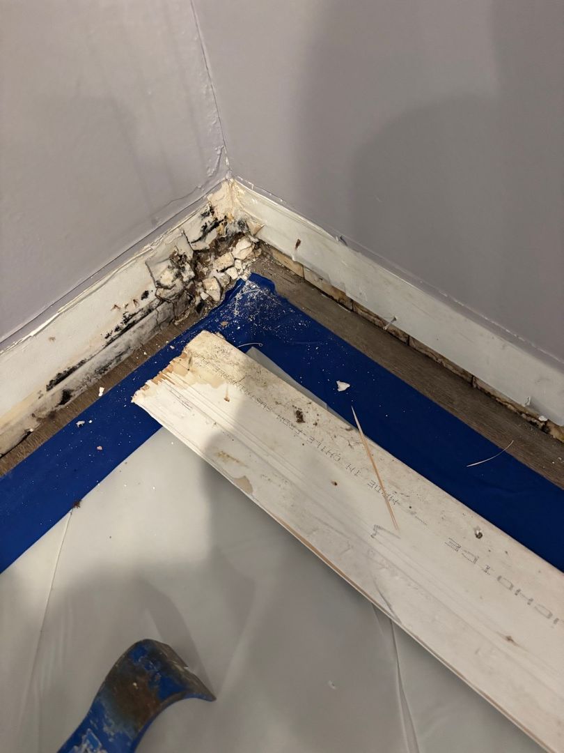 Mold growth on baseboards