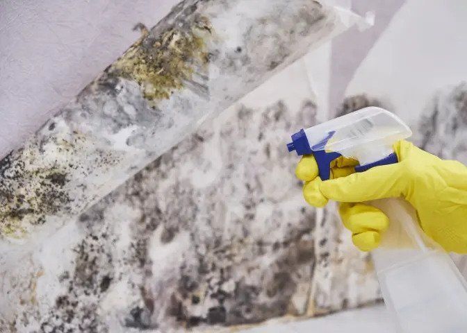 Mold In Basement