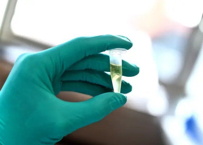 Mold Testing