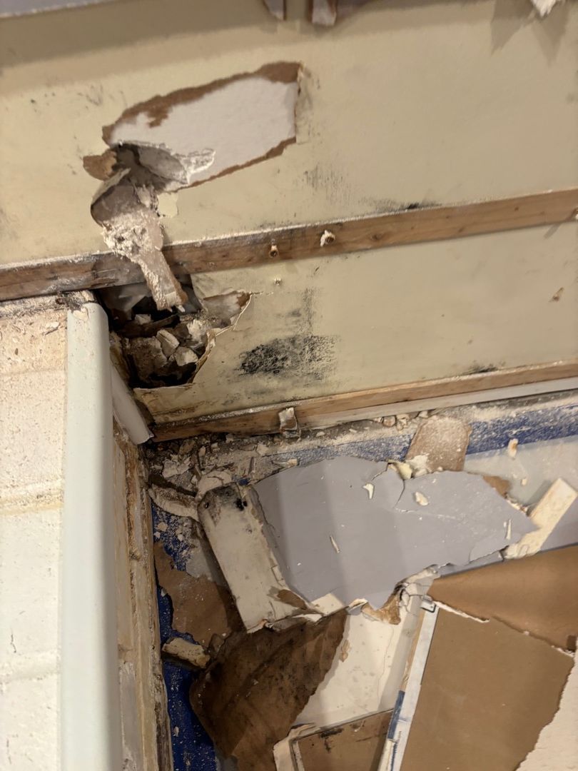 Severe water and mold damage