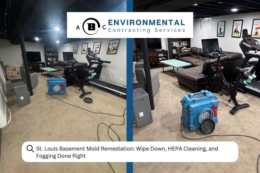 Basement mold remediation: Equipment and gym equipment, after cleaning.