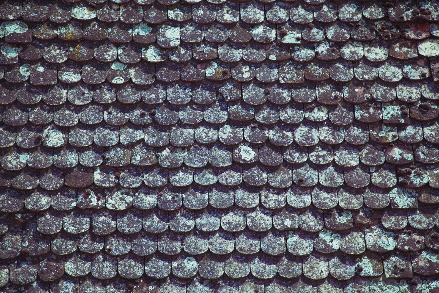 Asbestos-containing roof shingles on a Missouri residential property