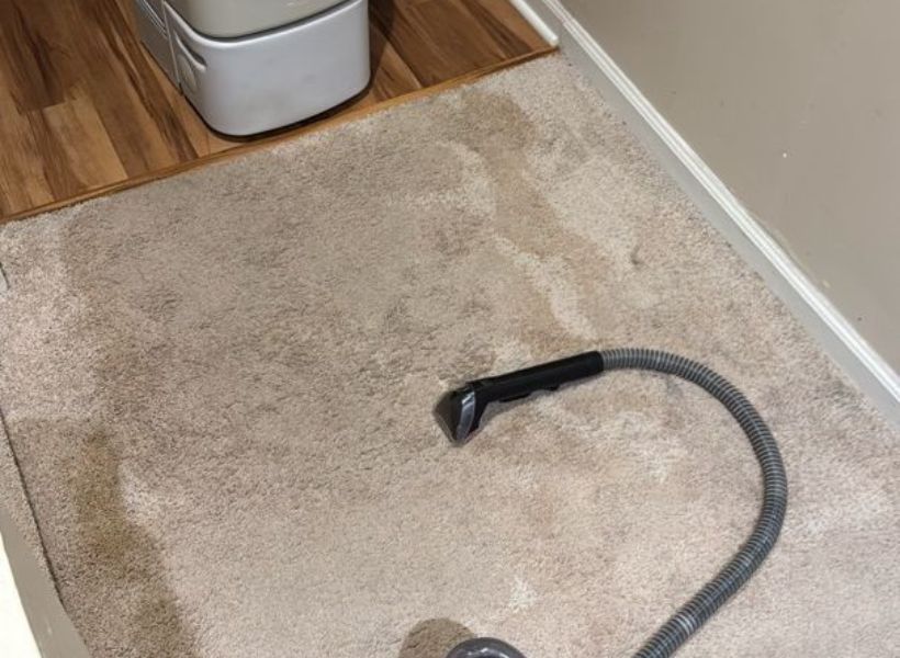 affected carpet
