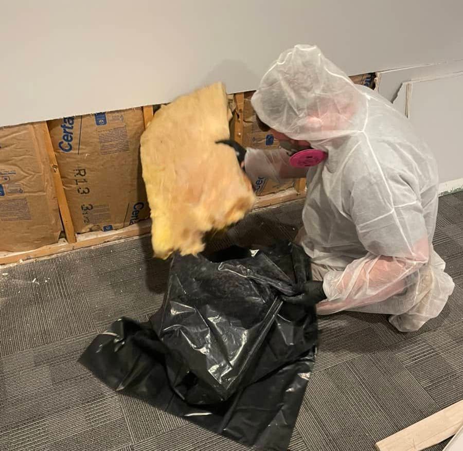 asbestos abatement