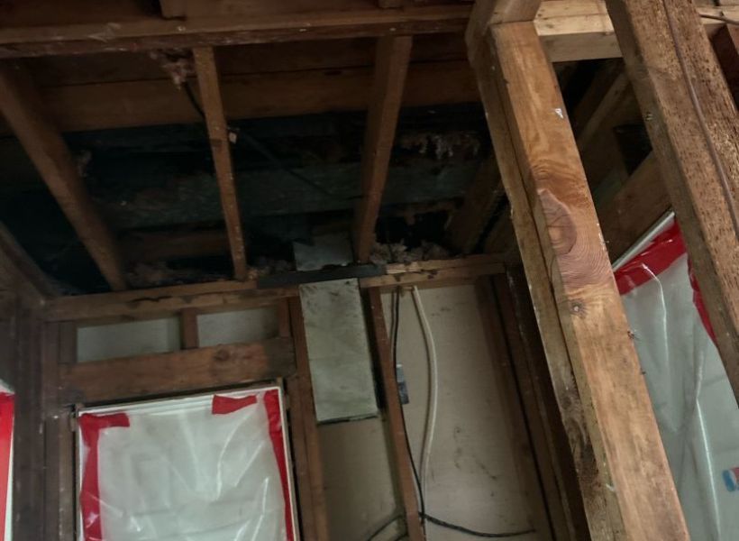 asbestos removal process 1