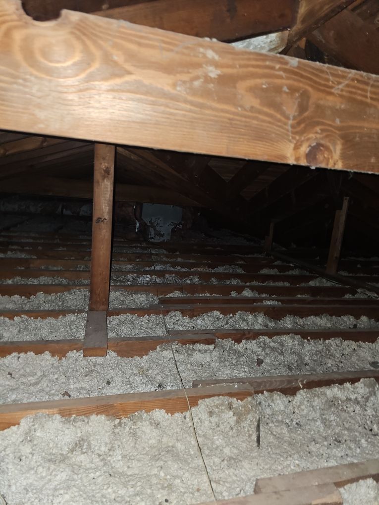 Attic mold damage after an insulation mishap cleaned by ABC Environmental in St. Louis