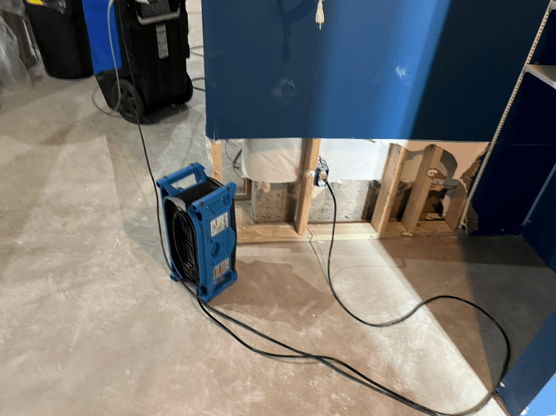 basement water damage cleanup
