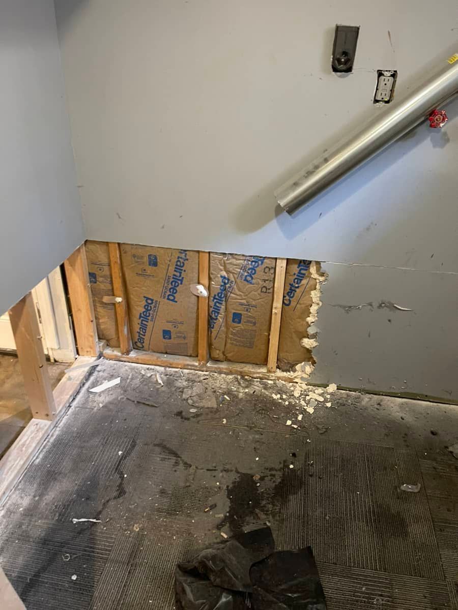 basement water damage mitigation