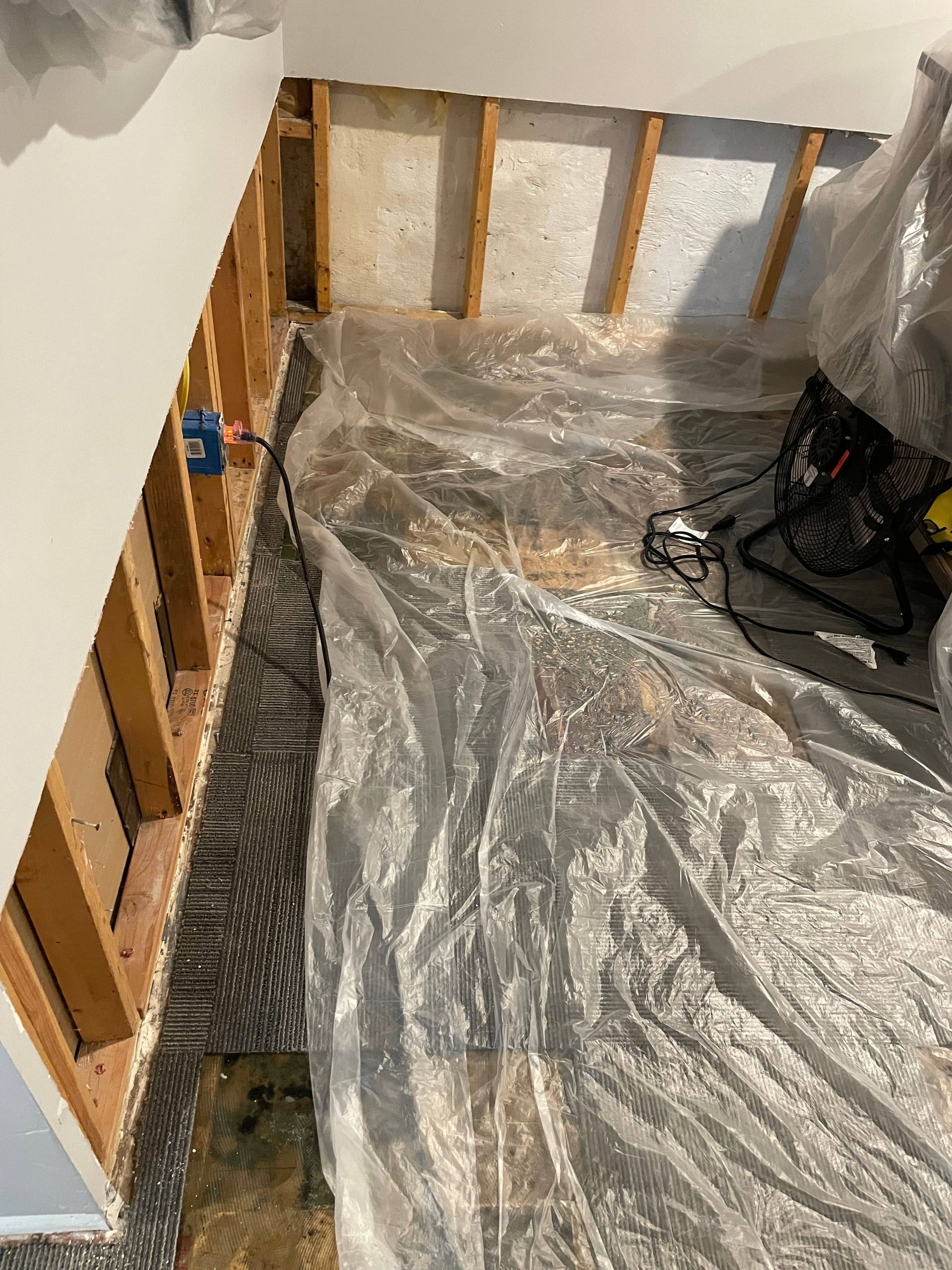 basement water damage mitigation