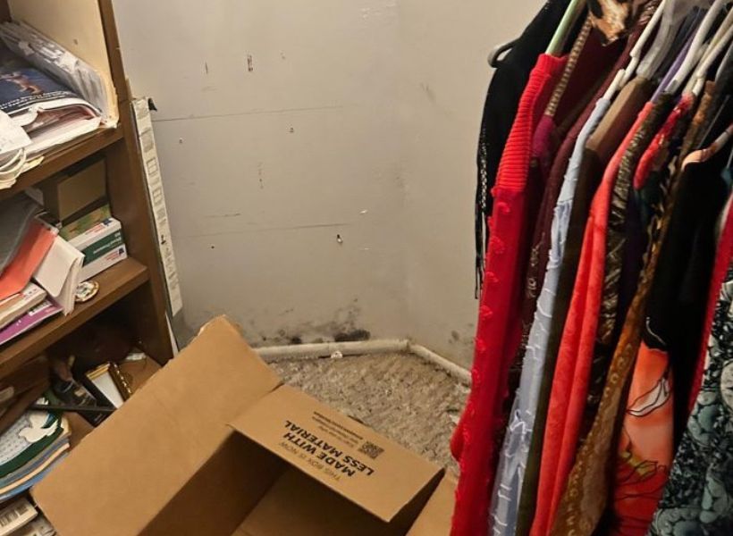 bedroom mold growth