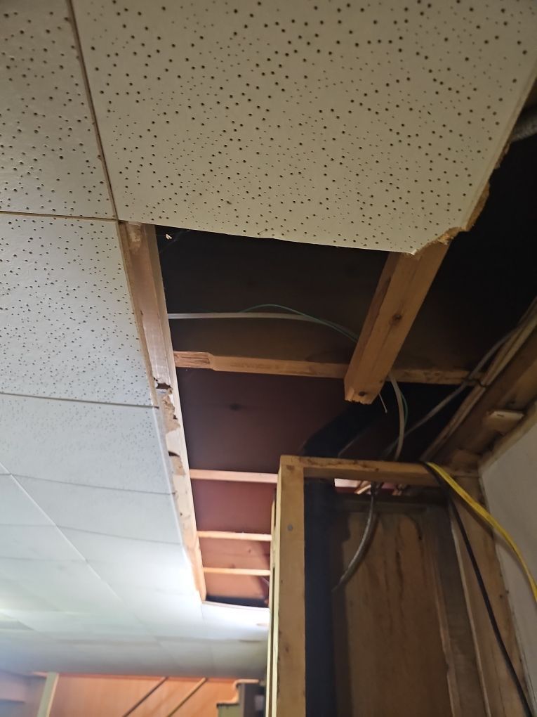 Water-damaged basement ceiling being removed during cleanup