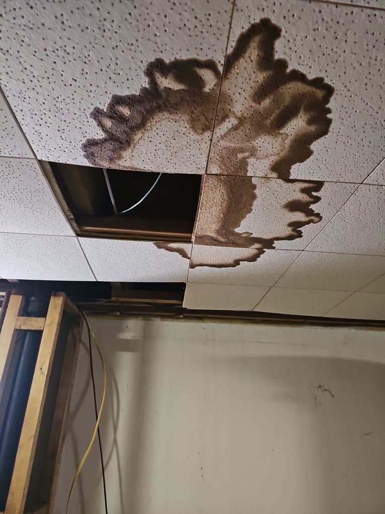 Extent of water damage spreading across a basement ceiling