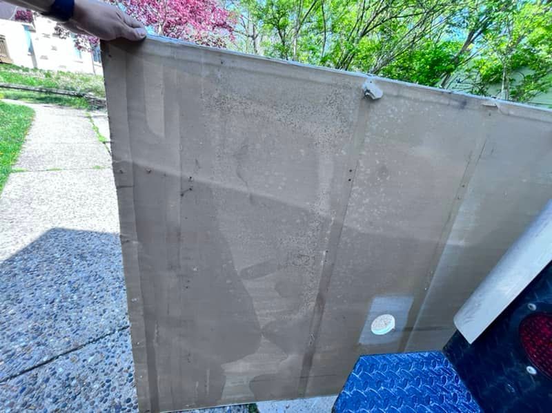 drywall mold growth