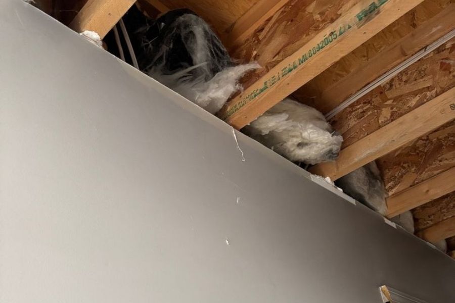 Interior of a home after fire damage demolition showing exposed framing and removed drywall during restoration