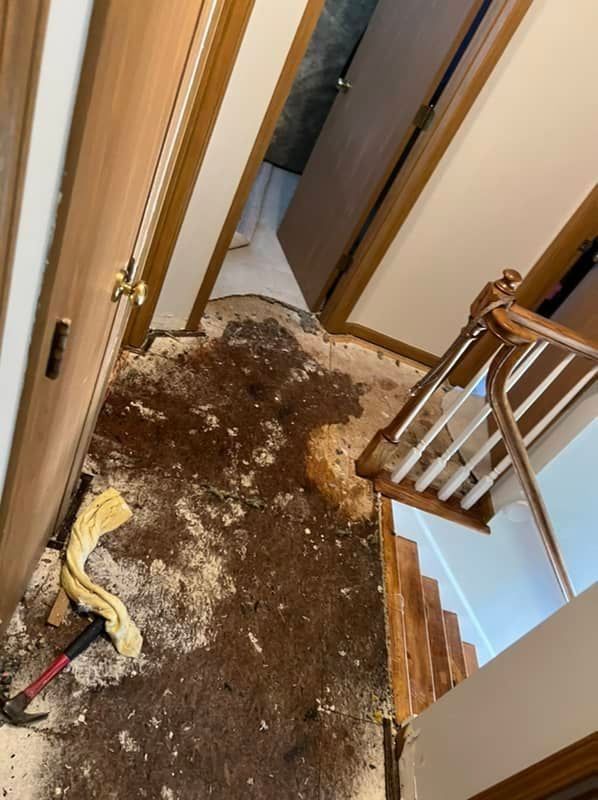 water damaged hallway of a st. louis, mo home