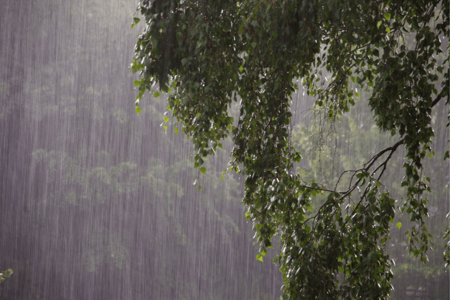 Heavy rain storm