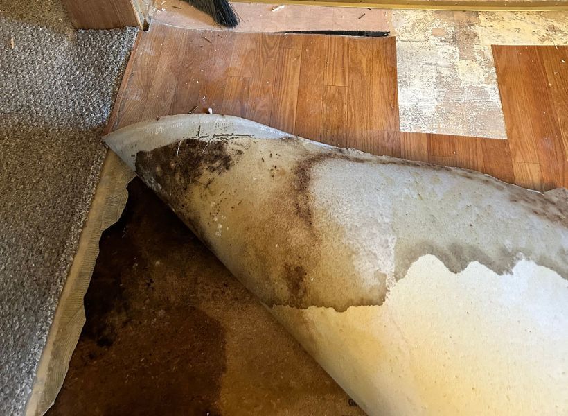 kitchen floor damage