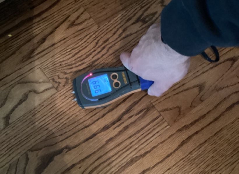 moisture meter-before 1