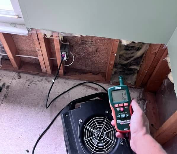 moisture reader