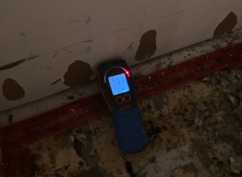 moisture reading