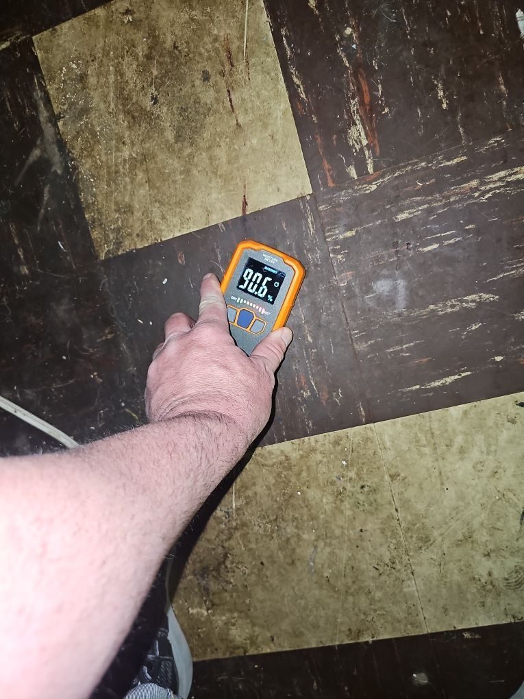 Technician taking a moisture reading of a water-damaged basement floor