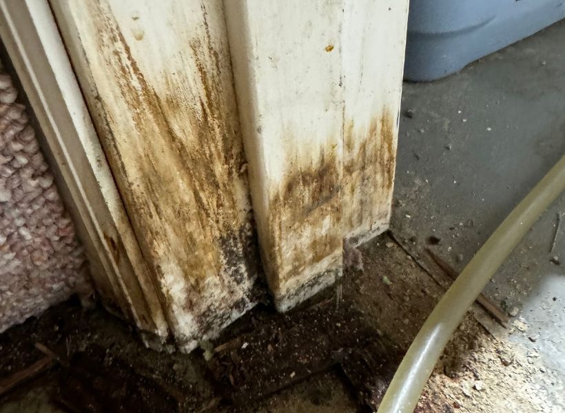 mold growth on door jamb